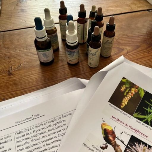 formations - barbara laffay formations barbara laffay Naturopathie-Formation