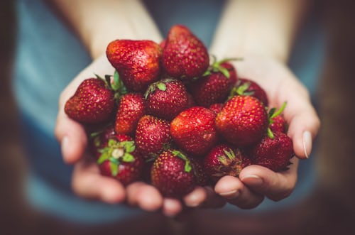 Naturopathie méthode NAET allergies Naturopathie méthode NAET allergies