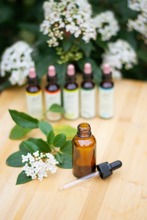 Elixirs floraux fleurs de bach Elixirs floraux fleurs de bach